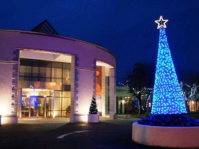 Hotel Newpark 4*